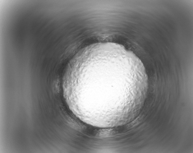 X0000056030090200509170048