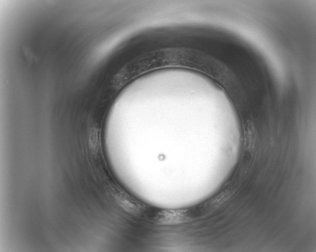 X0000056030093200509170048