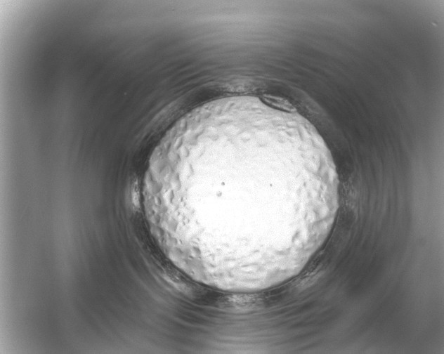 X0000056030095200509170048