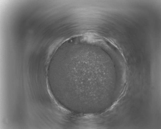 X0000056030097200509170047