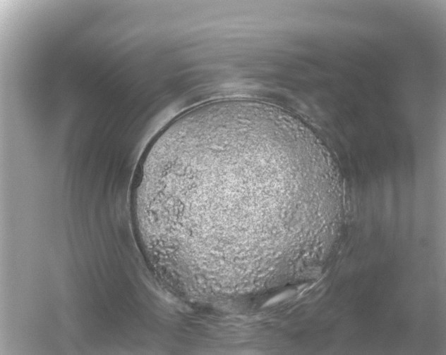 X0000056030099200509170047