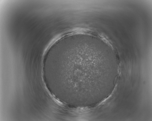 X0000056030101200509170047