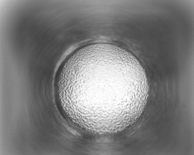 X0000056030102200509170047