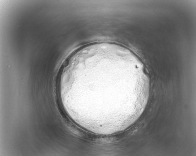 X0000056030103200509170047