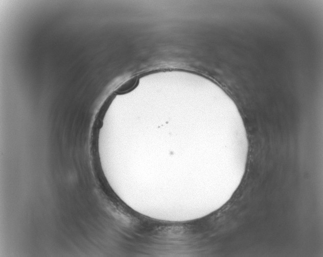 X0000056030104200509170047