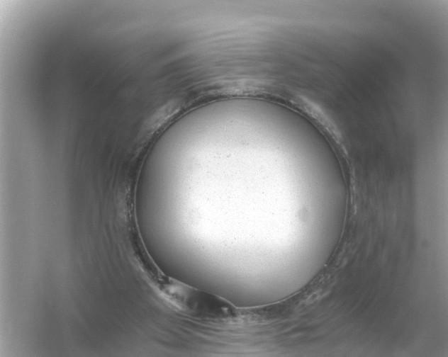 X0000056030105200509170047