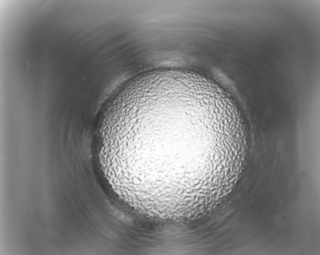 X0000056030106200509170047