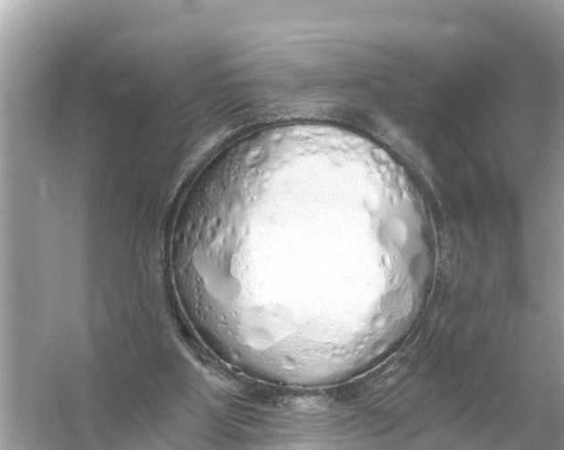 X0000056030107200509170047