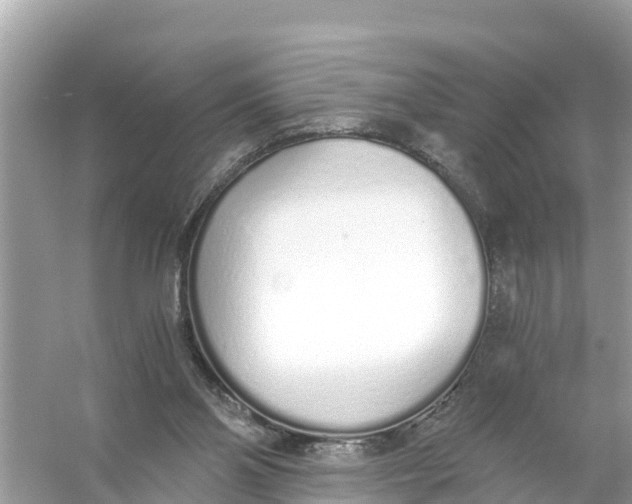 X0000056030110200509170047