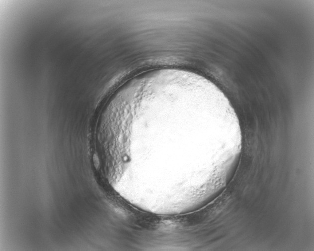 X0000056030111200509170047