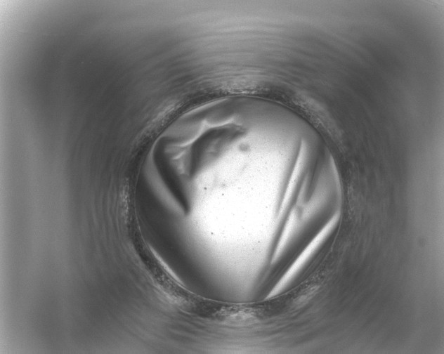 X0000056030113200509170047