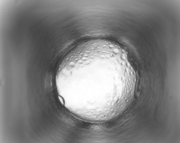 X0000056030115200509170047