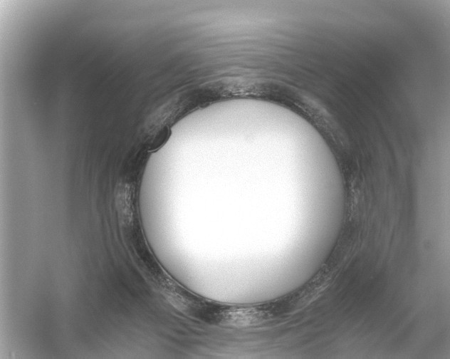 X0000056030121200509170047