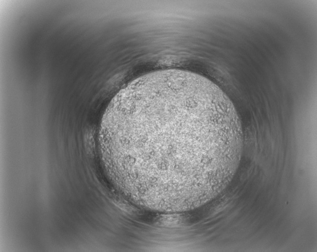 X0000056030127200509170046