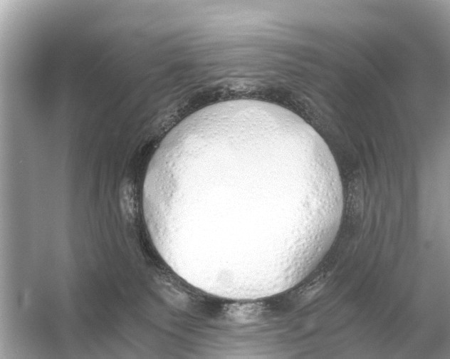 X0000056030135200509170046