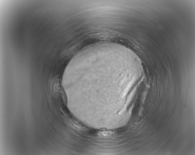 X0000056030137200509170046