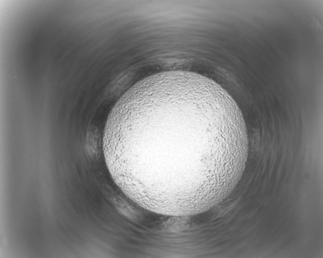 X0000056030138200509170046