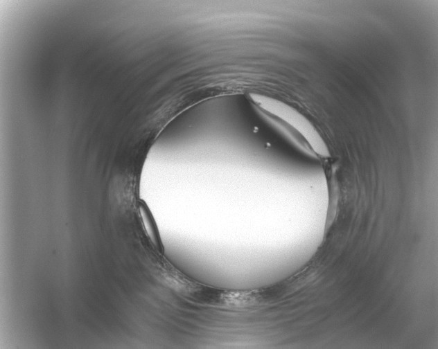 X0000056030141200509170046