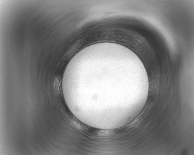 X0000056030142200509170046