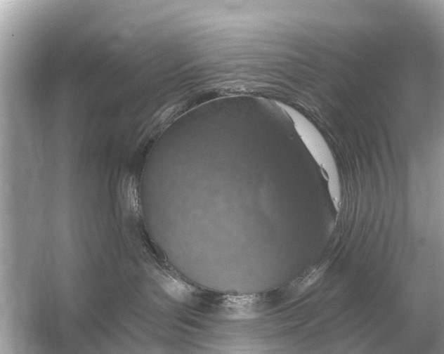 X0000056030143200509170046