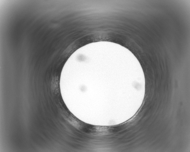 X0000056030144200509170046