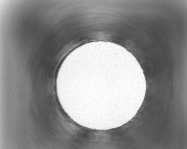 X0000056030146200509170045