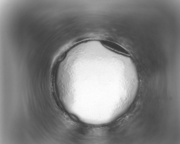 X0000056030149200509170045