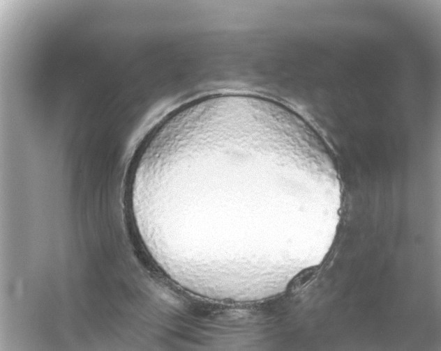 X0000056030151200509170045