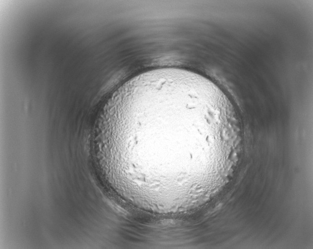 X0000056030153200509170045