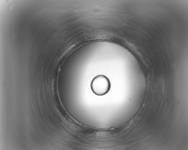 X0000056030154200509170045