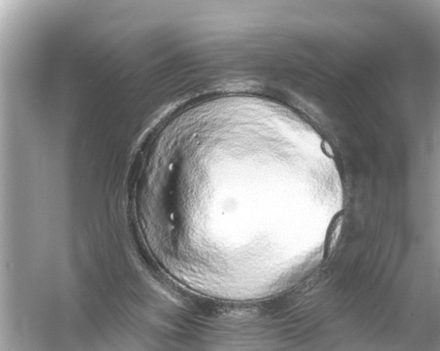 X0000056030155200509170045