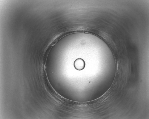 X0000056030156200509170045