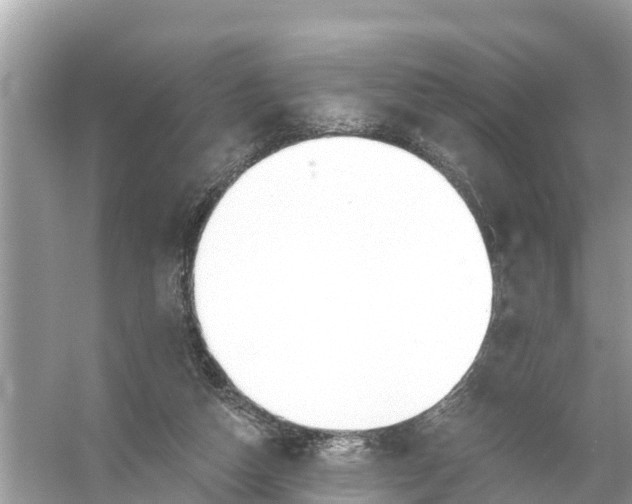 X0000056030162200509170046