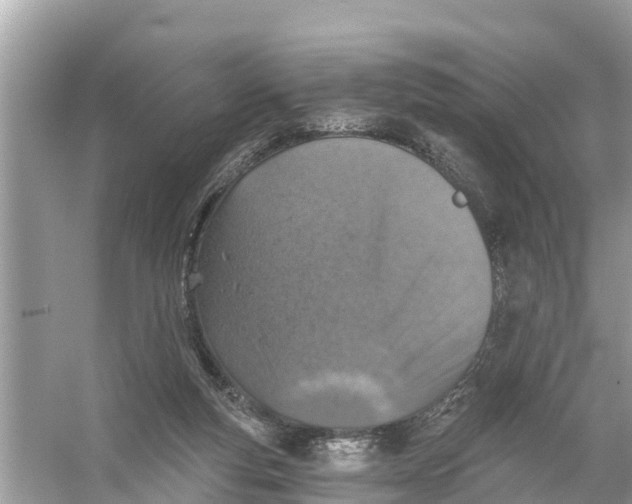 X0000056030163200509170046