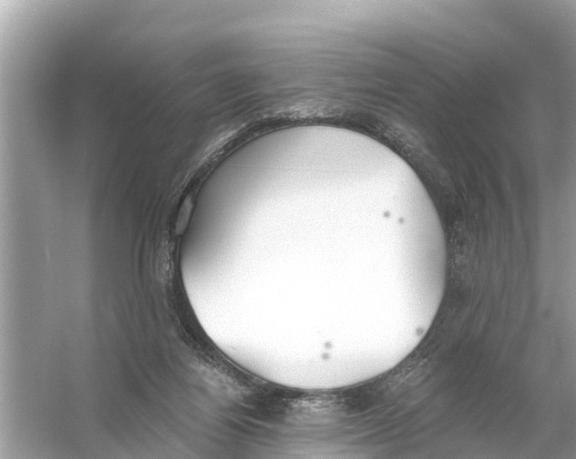 X0000056030164200509170046