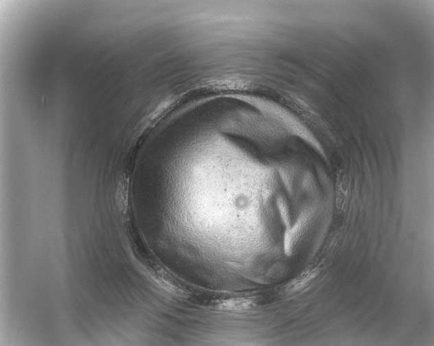 X0000056030168200509170046