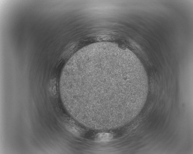 X0000056030169200509170046