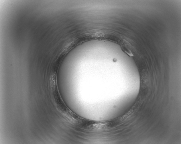 X0000056030172200509170046