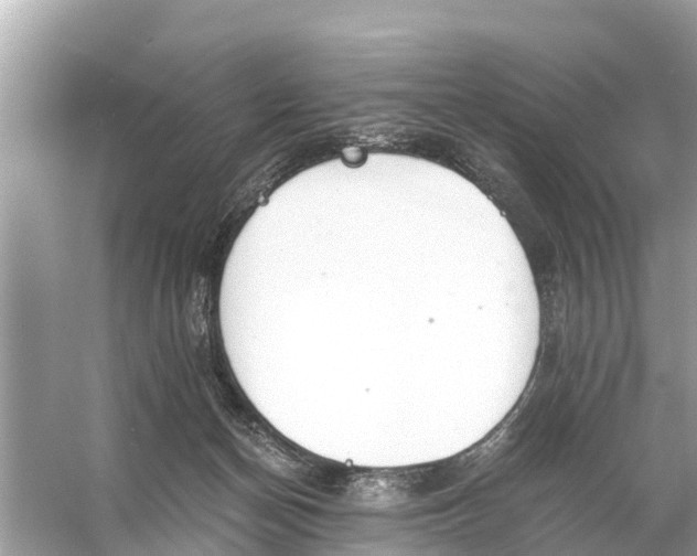 X0000056030174200509170046