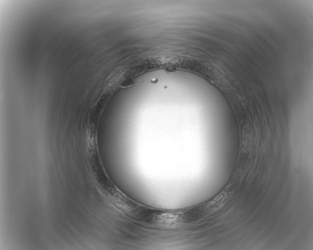 X0000056030176200509170046