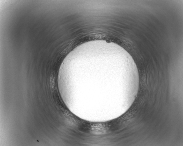 X0000056030177200509170046