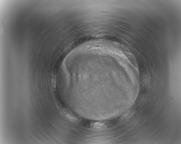 X0000056030180200509170046