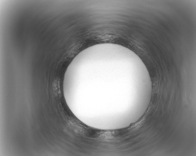 X0000056030182200509170046