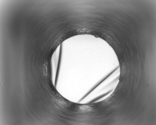 X0000056030183200509170046