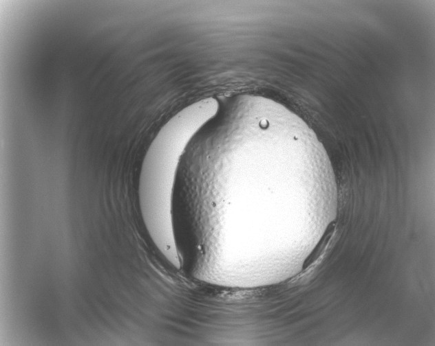 X0000056030186200509170046