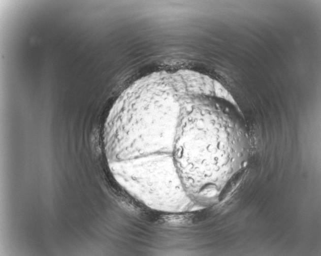 X0000056030187200509170046