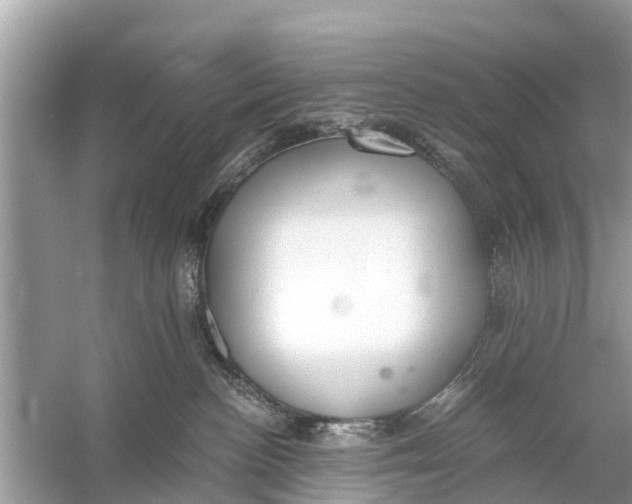 X0000056030188200509170046