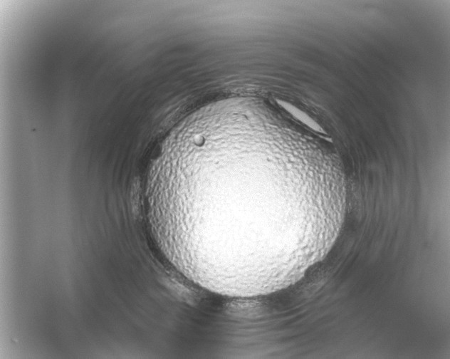 X0000056030189200509170046