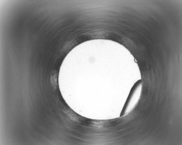 X0000056030190200509170046