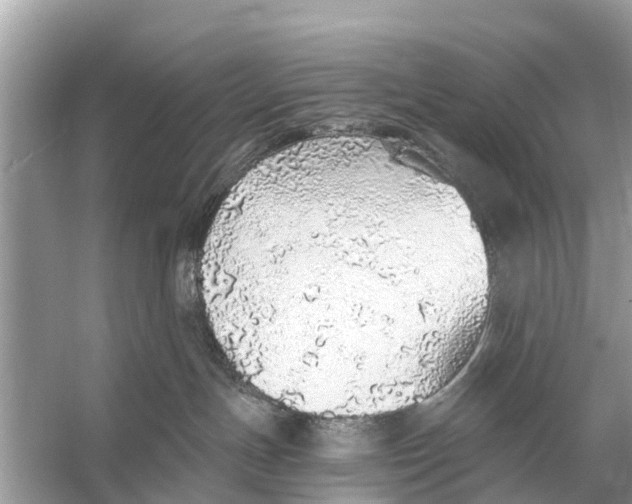 X0000056030191200509170046